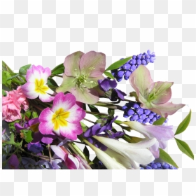 Flower, Bunch, Mixed, Spring , Png Download - Flower, Transparent Png - flower bunch png