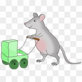 Mouse With Green Pram - Gerbil, HD Png Download - rodent png