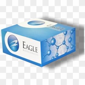 Elisa Assay - Elisa, HD Png Download - rodent png