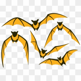 Clipart Bat Yellow Eye - Animated Flying Bat Png, Transparent Png - derp eyes png