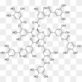 Tannic Acid Structure, HD Png Download - derp eyes png