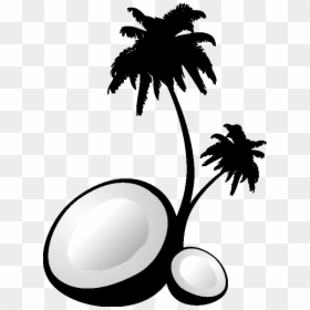 Palm Tree Set Png - Palm Tree Vector, Transparent Png - trees clipart png