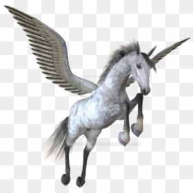Pegasus Image - Pegasus Png, Transparent Png - garuda png
