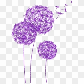 Dandelions, Purple Glitter, Dandelion Flower - Drawing, HD Png Download - blowing glitter png