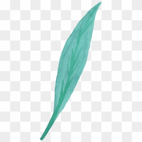 Ribwort, HD Png Download - watercolor leaf png