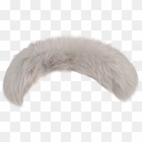 Fur Clothing, HD Png Download - feather boa png