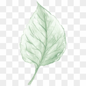 Watercolor Leaf Png -watercolor Leaves Are Free From - Watercolor Leaf Large, Transparent Png - watercolor leaf png