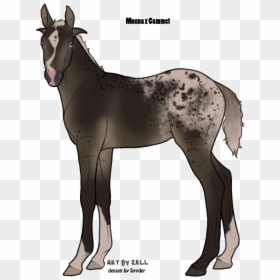 Picture - Foal, HD Png Download - moana baby png