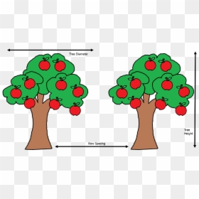 Uk Diseases Of Fruit - Apple Tree Clip Art Free, HD Png Download - row of trees png