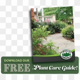Transparent Landscaping Plants Png - Yard, Png Download - yard png