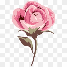 Common Peony, HD Png Download - pink petals png