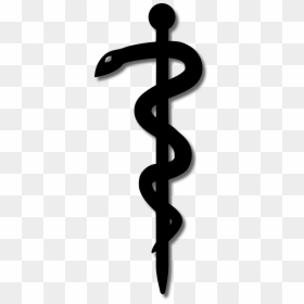 Transparent Nurse Cap Clipart - Snake Medical Logo, HD Png Download - snake icon png