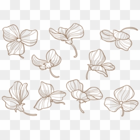 Hand Drawn Sweet Pea Flowers Stock Images - Sweet Pea Flower Vector, HD Png Download - sweet pea png