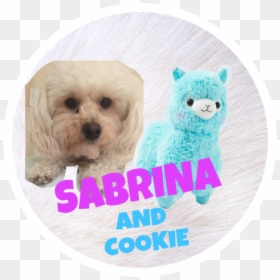 #sabrina #cookies #dog #icon #plushie 🦄#freetoedit - Radiation Symbol, HD Png Download - pet icon png