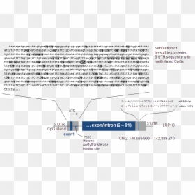Diagram, HD Png Download - atatürk png