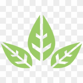 Transparent Organic Icon Png - Savons De Leandra, Png Download - green leaf icon png