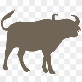 Morsey's Farmhouse, HD Png Download - buffalo silhouette png
