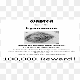 Lysosome Wanted Poster, HD Png Download - wanted poster template png