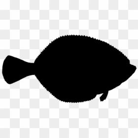 Fish Clipart Silhouette Flatfish Atlantic Halibut - Sole, HD Png Download - california silhouette png