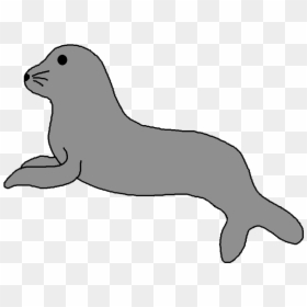 Free Sea Lion Pinniped Clip Art - Transparent Background Seal Clipart, HD Png Download - seals png