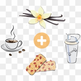 Increasingly Popular Health And Wellness Brands Reach, HD Png Download - vanilla extract png
