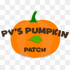 Pvs Pumpkin Patch, HD Png Download - pumpkin icon png