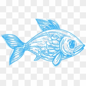 Drawing Deep Sea Creature Pencil Sketch Fish - Pencil Drawing Fish Sketch, HD Png Download - creatures png
