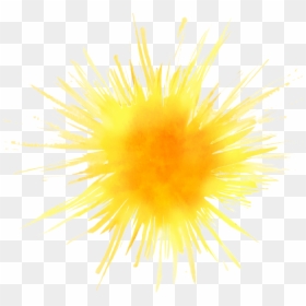 Echinoderm, HD Png Download - lay png