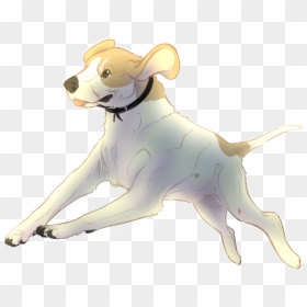 English Foxhound , Png Download - American Foxhound, Transparent Png - foxhound png
