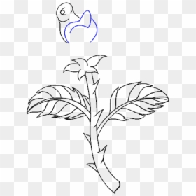 Drawing Png Rose - Draw A Flower Stem With A Leaf, Transparent Png - rose stem png