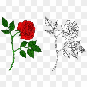 Rose Tattoo Png Free Download - Rose Tattoo Designs Tattoo Png, Transparent Png - rose stem png