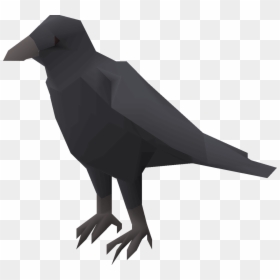 American Crow, HD Png Download - raven bird png
