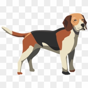 Dog, Hound, Mammal, Animal, Pet, Puppy, Cute, Canine - Anatomy Of A Dog Funny, HD Png Download - foxhound png