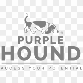 B Squad, HD Png Download - foxhound png