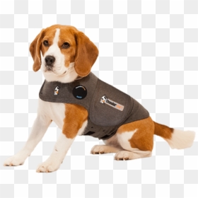 Dog Thundershirt, HD Png Download - foxhound png