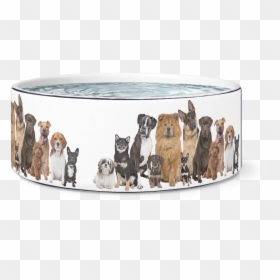 Dogs Family, HD Png Download - foxhound png