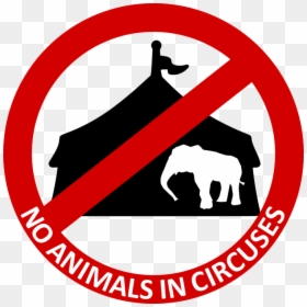 Area,text,brand - Photography, HD Png Download - circus animals png