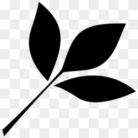 Leaf Icon - Black Leaf Png Clipart, Transparent Png - leaf symbol png