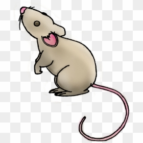 Rat Clipart Daga - Daga Clipart, HD Png Download - rat clipart png
