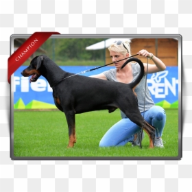 Dobermann, HD Png Download - baby rage png