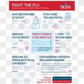 Research Factsheet, HD Png Download - flu png