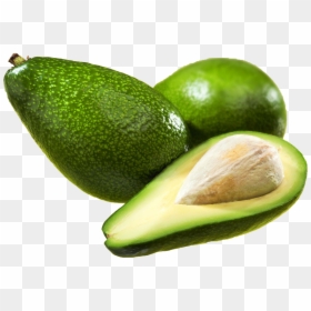 Avocado Fruit Icon - Avocado Png, Transparent Png - fruit icon png