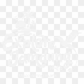 Discovery 3d, HD Png Download - hand drawn underline png
