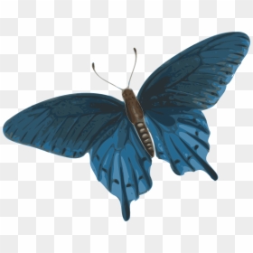 Butterfly Flying Gif Png, Transparent Png - fly.png