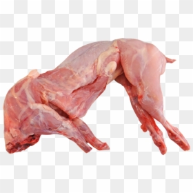 Rabbit, Whole, Raw, Cooking, Food, Meat, Fresh - Rabbit Meat, HD Png Download - cooked meat png