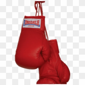 Punching Bag Png Transparent Images - Transparent Background Boxing Gloves Png, Png Download - punching bag png
