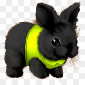 Domestic Rabbit, HD Png Download - chalk clipart png