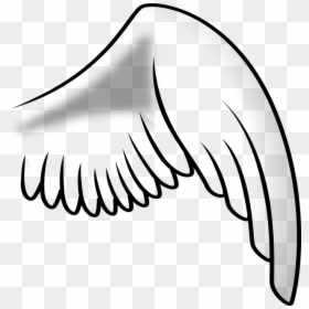 Wing, Angel, Right, Chicken, HD Png Download - wing vector png