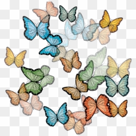 Transparent Mariposas Volando Png - Mariposas Png Muchas, Png Download - mariposas volando png