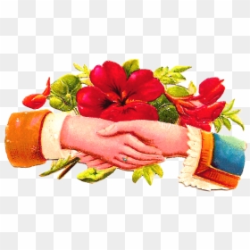 Wedding Hand Clipart Free Download, HD Png Download - holi colour png